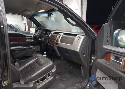 2009 Ford F-150 Fx4/King Ranch/Lariat/Platinum/Xl/Xlt from USA, damaged, VIN 1FTPW14V99FB03095